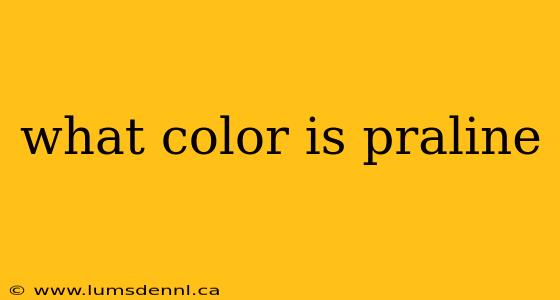 what color is praline