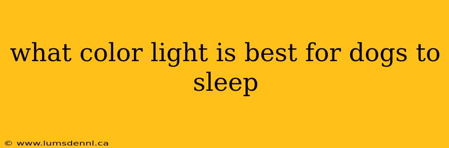 what color light is best for dogs to sleep