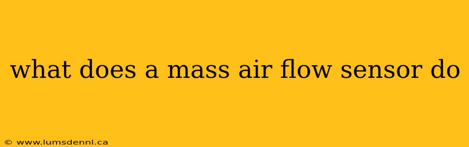 what does a mass air flow sensor do