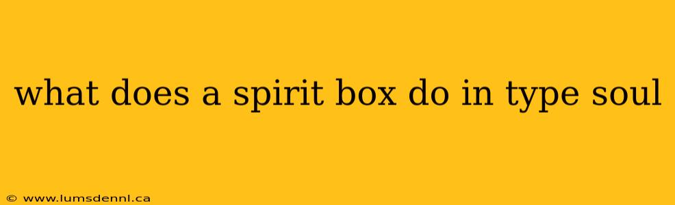 what does a spirit box do in type soul