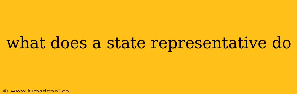what does a state representative do