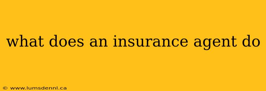 what does an insurance agent do