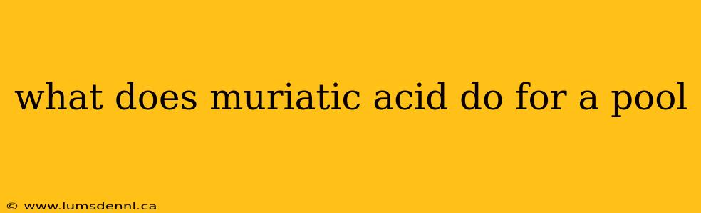 what does muriatic acid do for a pool