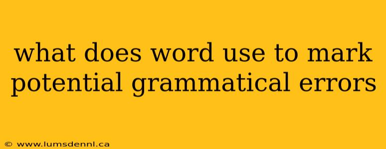 what does word use to mark potential grammatical errors