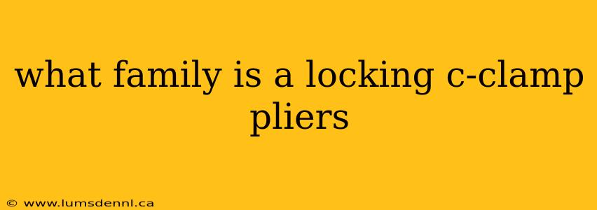 what family is a locking c-clamp pliers