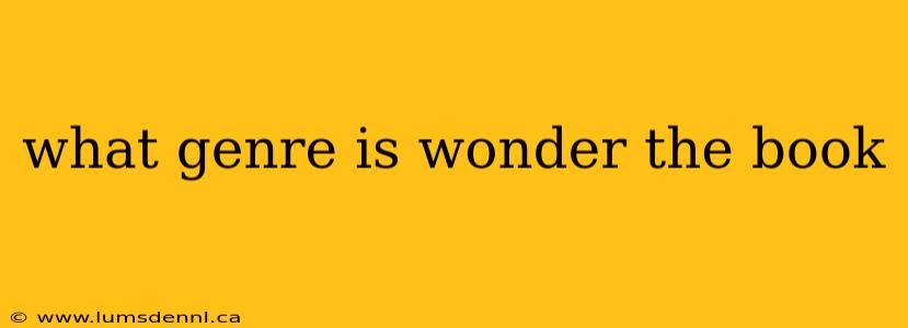 what genre is wonder the book