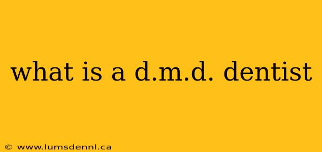 what is a d.m.d. dentist