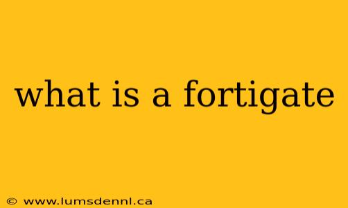 what is a fortigate