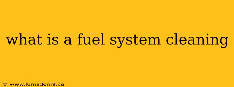 what is a fuel system cleaning