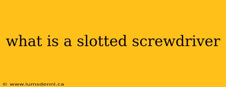 what is a slotted screwdriver