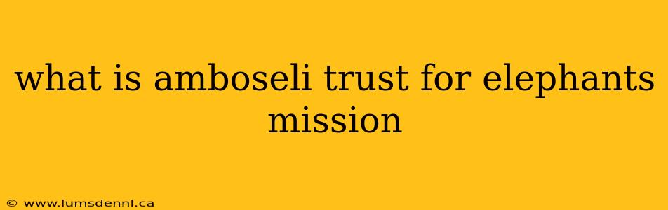 what is amboseli trust for elephants mission