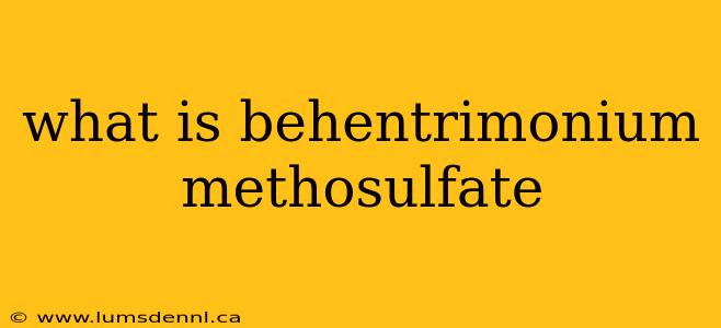 what is behentrimonium methosulfate
