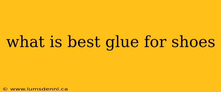 what is best glue for shoes