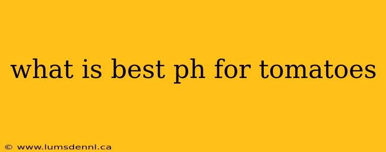 what is best ph for tomatoes