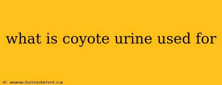 what is coyote urine used for