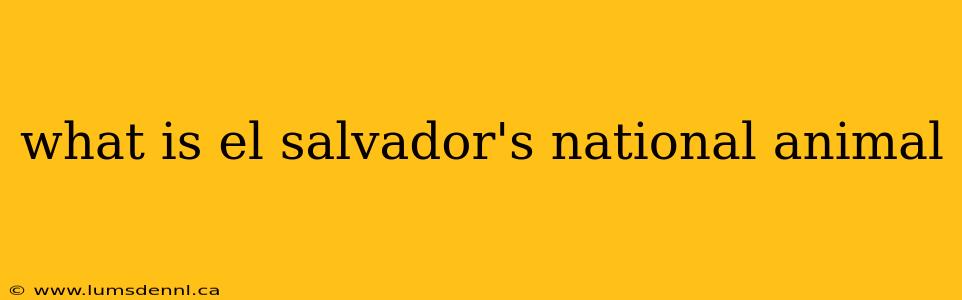 what is el salvador's national animal