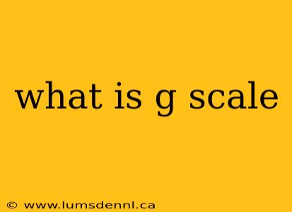 what is g scale