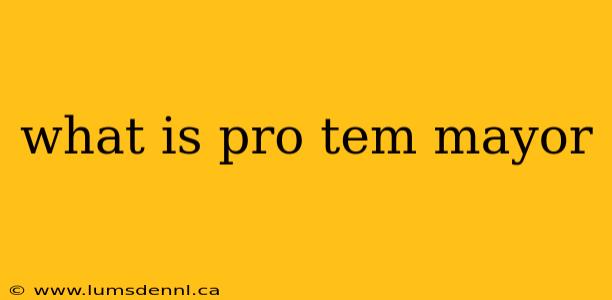 what is pro tem mayor
