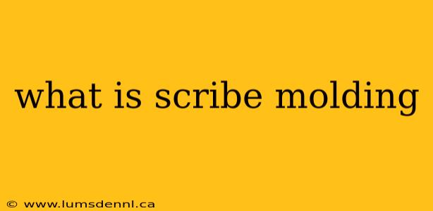 what is scribe molding