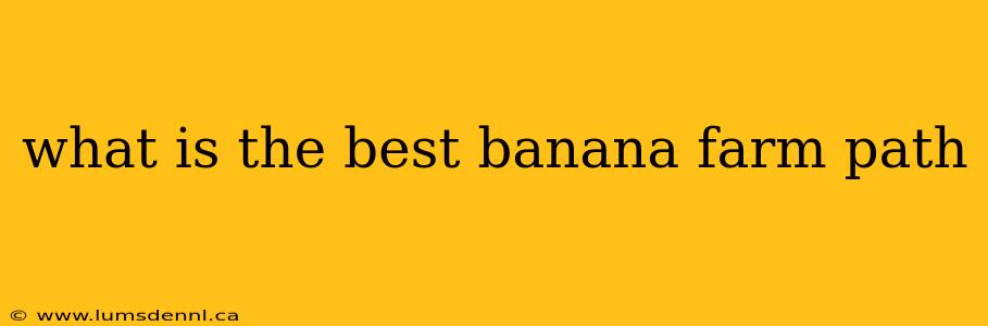 what is the best banana farm path