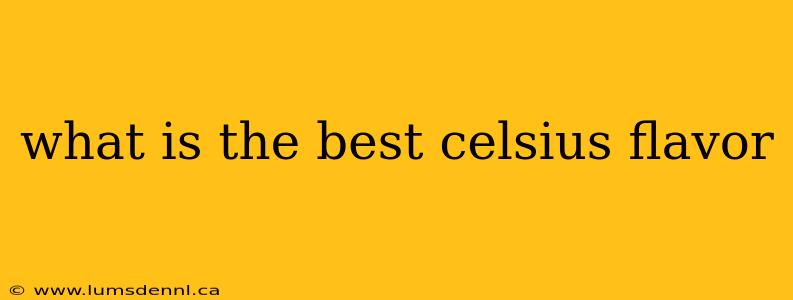 what is the best celsius flavor