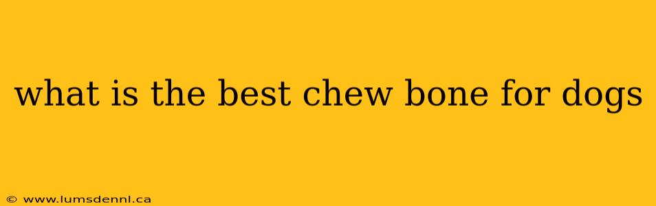 what is the best chew bone for dogs