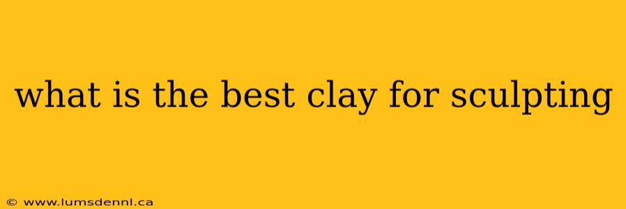 what is the best clay for sculpting