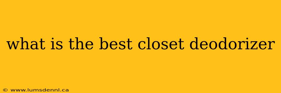 what is the best closet deodorizer