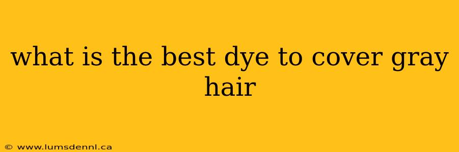 what is the best dye to cover gray hair