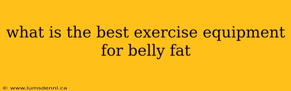 what is the best exercise equipment for belly fat