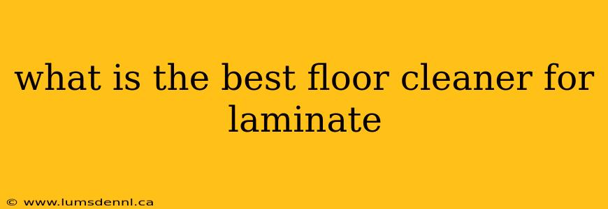 what is the best floor cleaner for laminate