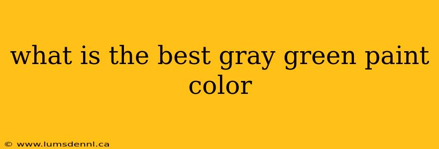 what is the best gray green paint color