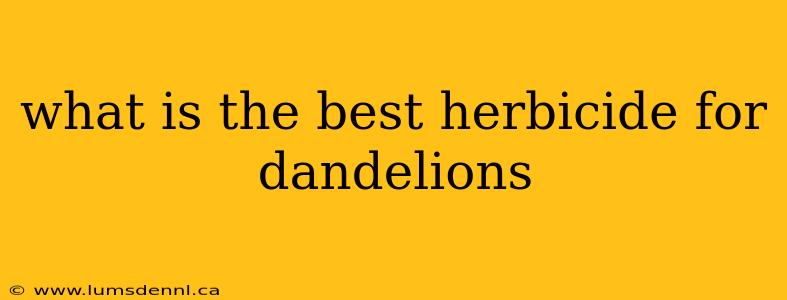 what is the best herbicide for dandelions
