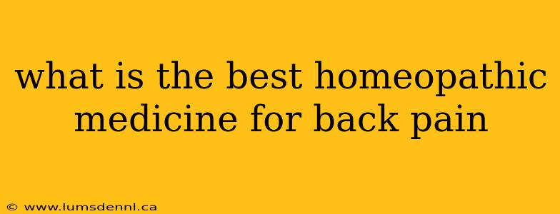 what is the best homeopathic medicine for back pain