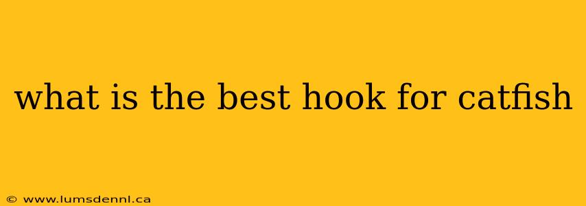 what is the best hook for catfish