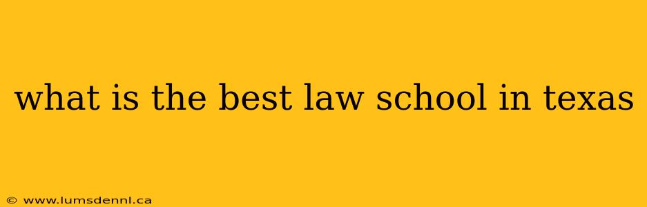 what is the best law school in texas