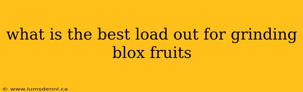 what is the best load out for grinding blox fruits