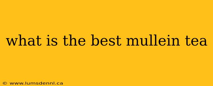 what is the best mullein tea