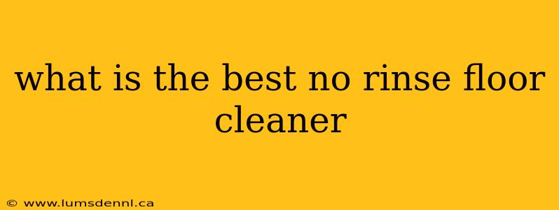 what is the best no rinse floor cleaner
