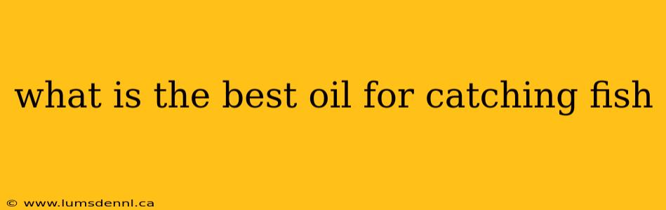 what is the best oil for catching fish