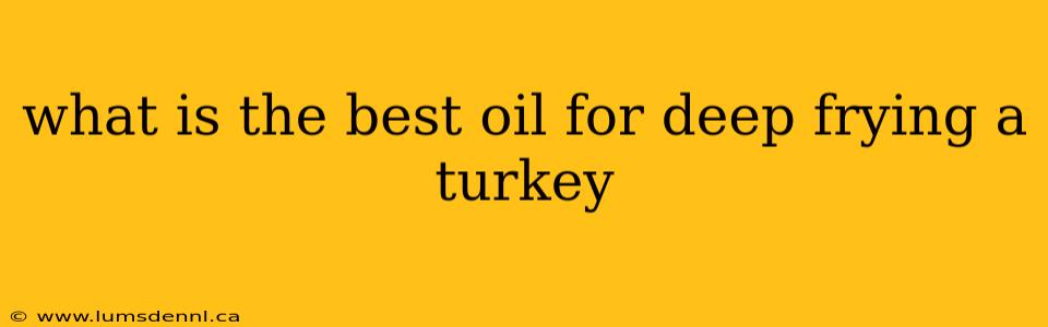 what is the best oil for deep frying a turkey