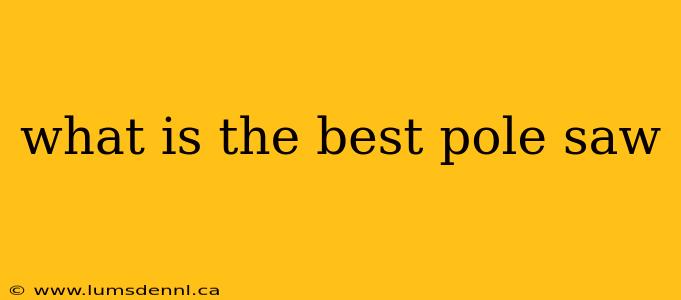 what is the best pole saw