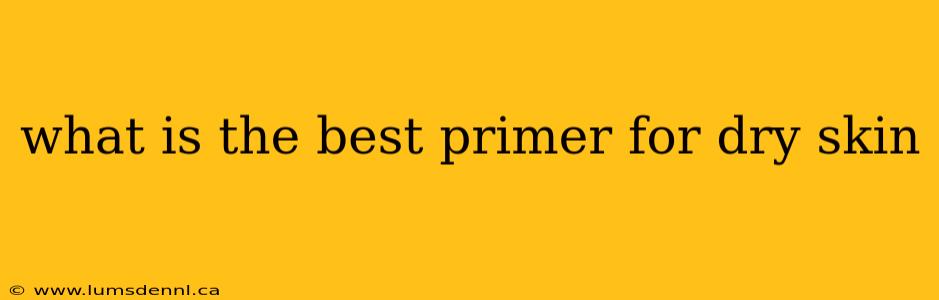 what is the best primer for dry skin