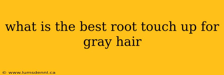 what is the best root touch up for gray hair