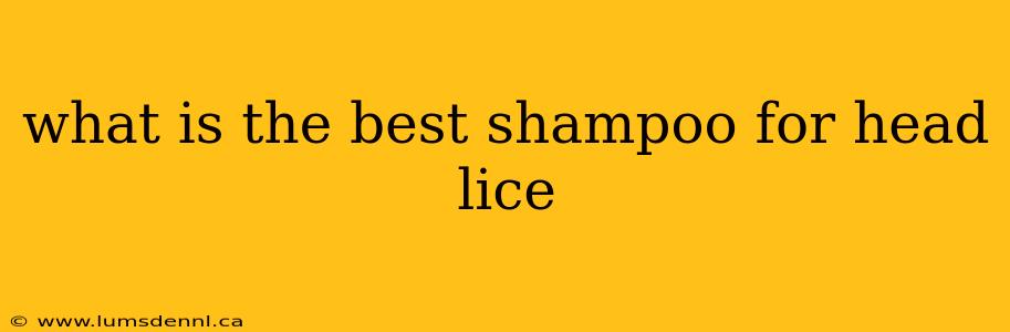 what is the best shampoo for head lice