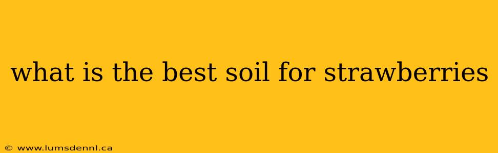 what is the best soil for strawberries