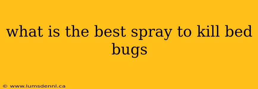 what is the best spray to kill bed bugs