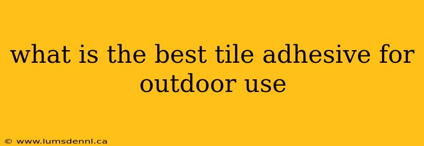 what is the best tile adhesive for outdoor use