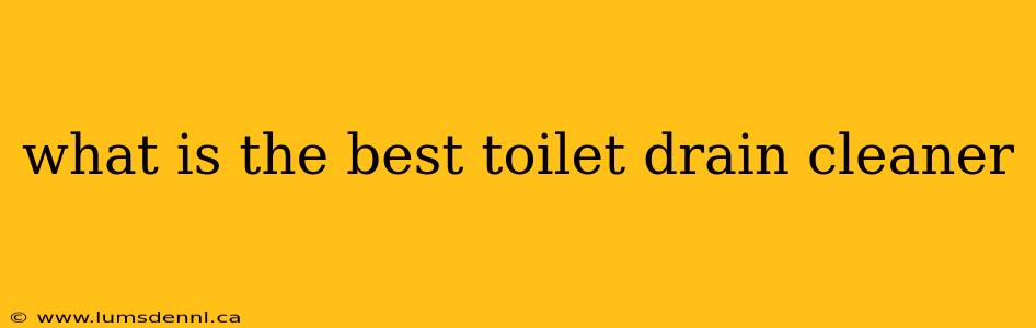 what is the best toilet drain cleaner