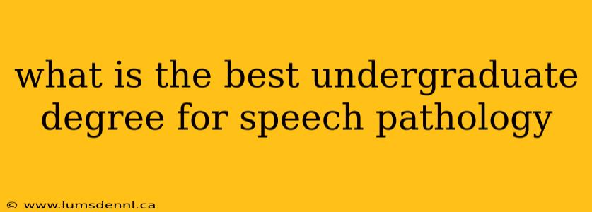 what is the best undergraduate degree for speech pathology